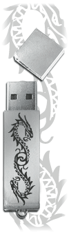 ''Dragons enlac&eacute;s'', cl&eacute; USB 2 Go, coque en m&eacute;tal brillant