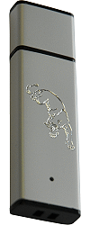 Cl&eacute; USB personnalis&eacute;e par gravure : Guenhwyvar (la panth&egrave;re qui accompagne Drizzt do'Urden, l'elfe noir des ''Royaumes Oubli&eacute;s'')