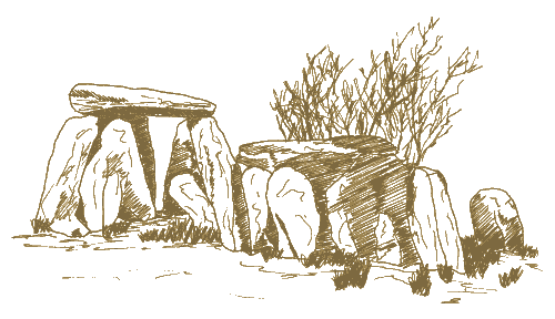 dessin-viseu01