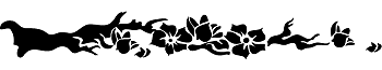 Branche et fleurs de cerisier
