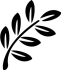 Branche d'acacia