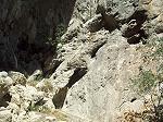 la �Tarasque�, dragon sculpt&eacute; naturellement dans la pierre de la grotte des Chevaliers