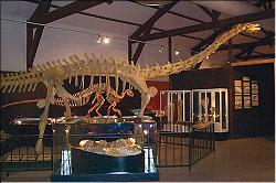 le muse des dinosaures d'Espraza