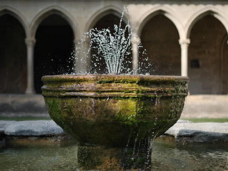 Fontaine au cœur du cloître de l'abbaye Saint-Hilaire (Aude ; photographie : Philippe Contal, 2016)