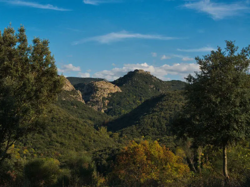 De bon matin, le château cathare de Termes dans son écrin de végétation de montagne (Termenès, Corbières, Aude, Pays cathare ; photographie : Philippe Contal, 2015)