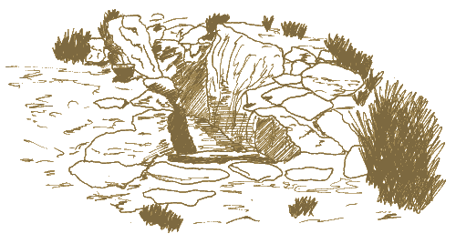 le dolmen de Roque Traoucado