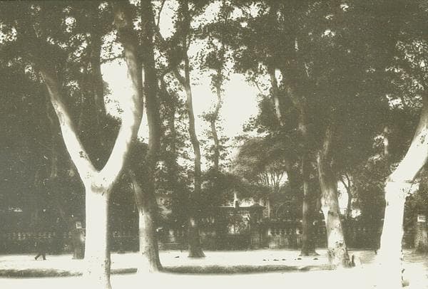 Boulevard et Jardin de la Préfecture de Carcassonne (Aude, Pays cathare ; photographie sur verre, début XXᵉ siècle, Office de Tourisme de Carcassonne)
