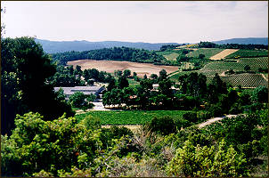 le domaine de Martinolles