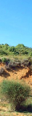 couleurs en Terres Cathares