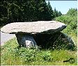 le dolmen de la Gante, Parc Naturel du Haut Languedoc, Tarn 81