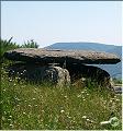 le dolmen de la Gante, Parc Naturel du Haut Languedoc, Tarn 81