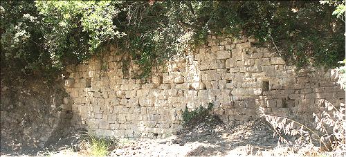 entre le règle végétal et le règle minéral... les ruines du mur de l'oppidum romain de Murviel-lès-Montpellier
