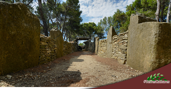 Mégalithes (dolmens et menhirs) en #TerresCathares (photographie du Dolmen des Fées, P2pieux-Minervois-Aude, Pays cathare : Philippe Contal, 2013)