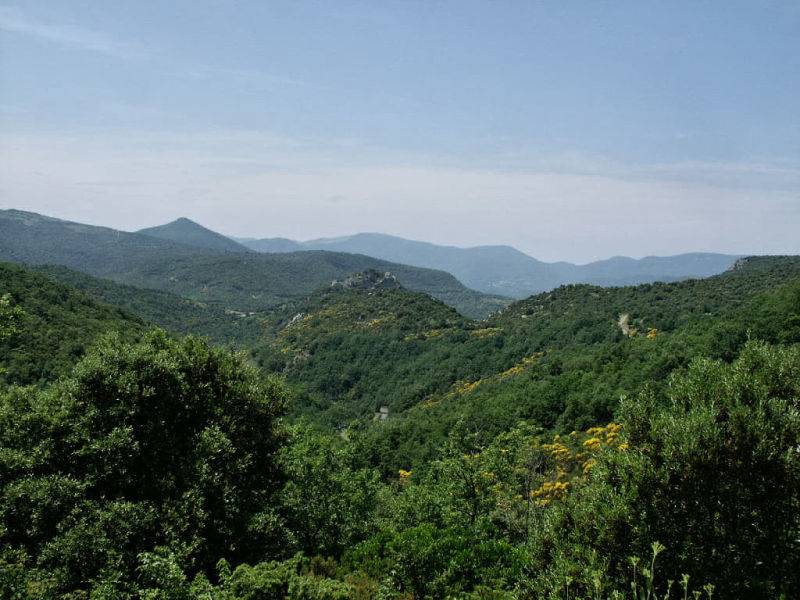 Le château de Termes dans son écrin de végétation de montagne (Termenès, Corbières, Aude, Pays cathare ; photographie : Philippe Contal, 2003)