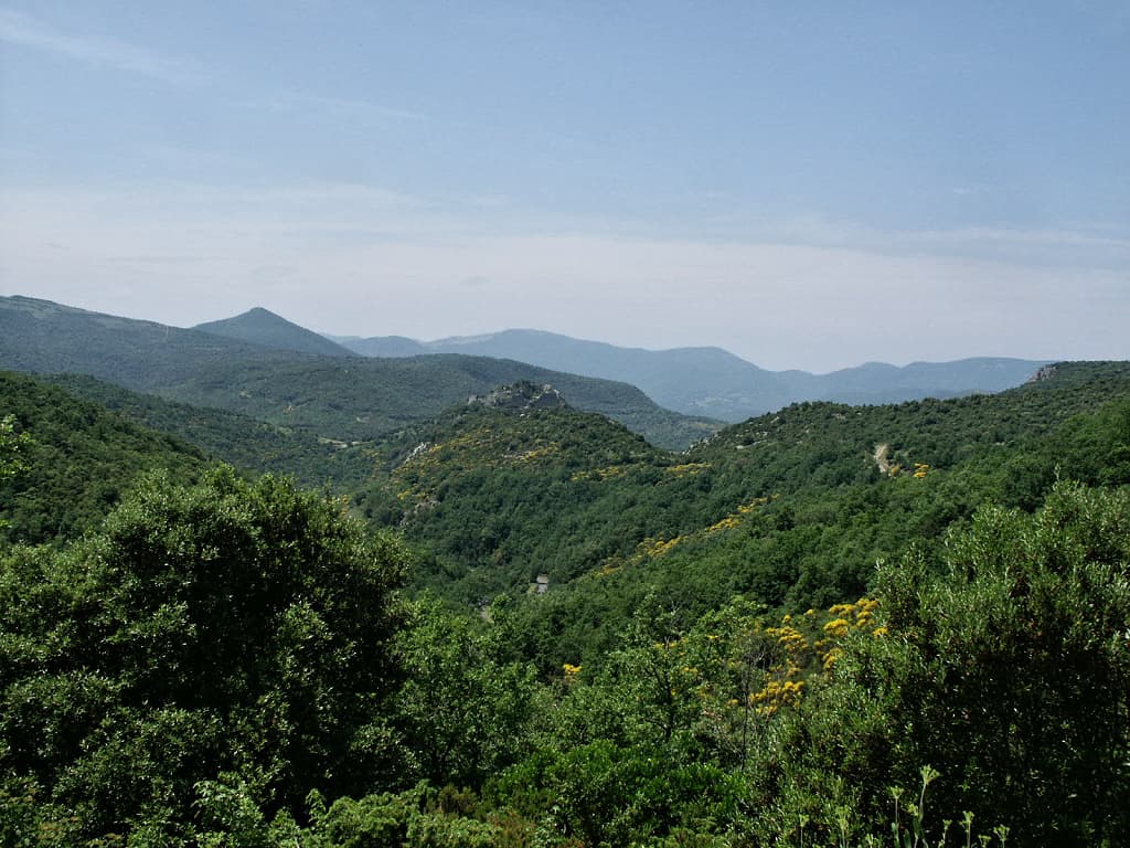 Le château de Termes dans son écrin de végétation de montagne (Termenès, Corbières, Aude, Pays cathare ; photographie : Philippe Contal, 2003)