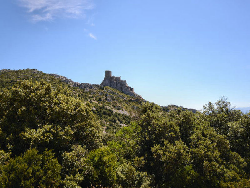 Le château cathare de Quéribus depuis le haut du parking (Corbières, Aude ; photographie : Philippe Contal, 2013)