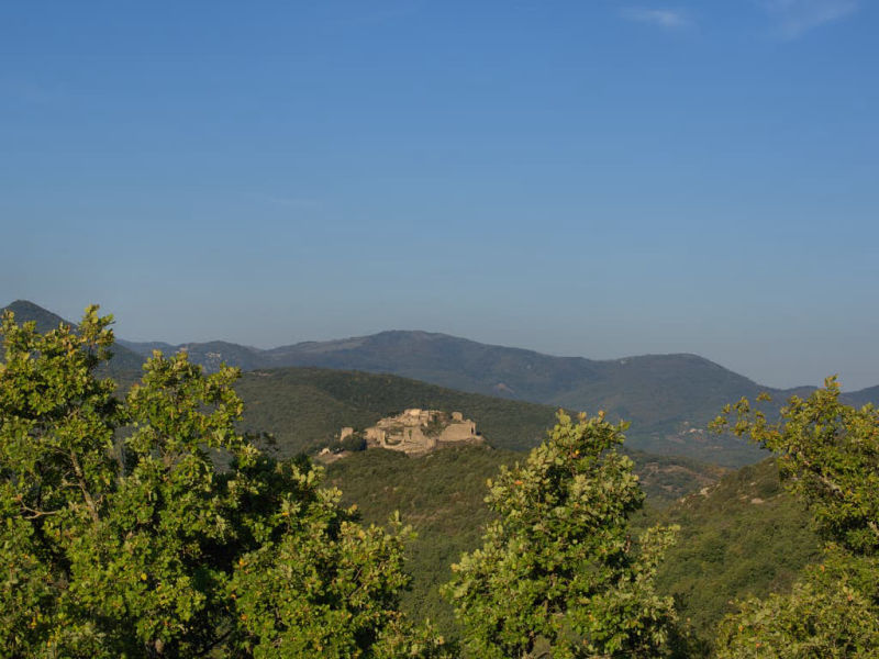 Le matin, le château cathare de Termes dans son écrin de végétation de montagne (Termenès, Corbières, Aude, Pays cathare ; photographie : Philippe Contal, 2015)
