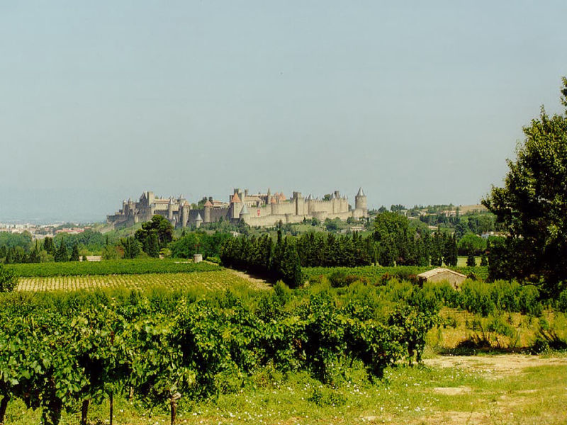LA Cité médiévale de Carcassonne dans son écrin de vigne (Aude, Pays cathare ; photographie ; Philippe Contal, 1997)